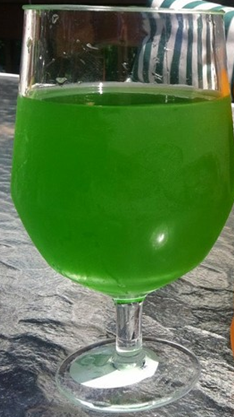 Antons Ecto Cooler