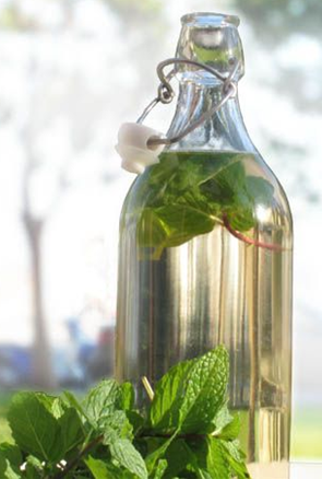 Fresh Mint Liqueur